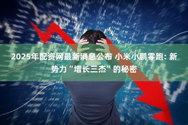 2025年配资网最新消息公布 小米小鹏零跑: 新势力“增长三杰”的秘密